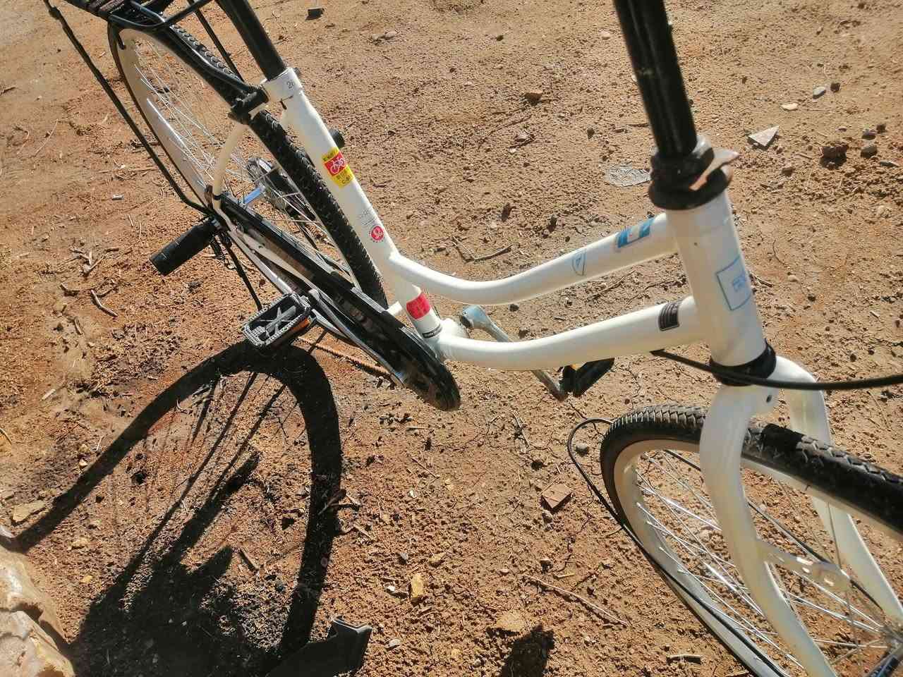 عمب سلام عليكم عمي باسكل البيع وعلي باسكل ماعوزه برقي كله كامل من طول الطول وشرط كشماه عوزه تعمير 2025 ويله نظاف كلش حجم 26 والباسكل مامقسول راده سعر 80وبيه مجال وشراي يجي خاص 🫡❤️


**إذا كنت صاحب هذا الإعلان وتريد حذفه لأي سبب، رجاءا أرسل رسالة إلى الدعم الفني**