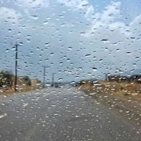 قضاء البدير • نقل طارئ • مجاناً