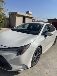 خط شهري • جامعة تكريت • طلاب وطالبات