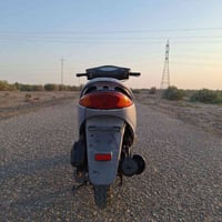 بريز • ياباني • أوراق كامله