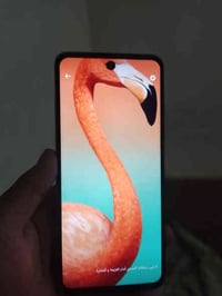 للبيع تكنو كامون 17 PRO ذاكره (٢٥٦) رام (١٣) نضافه جهاز ٧٠٪٪ فطور بل ض...