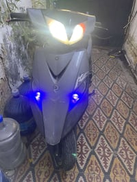 ثعلب • دراجة ناعمة • اعظمية