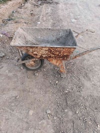 عربان