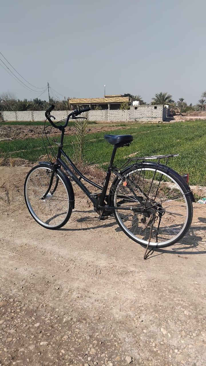 سلام عليكم حجم ٢٦ ياباني اصل حاويه جديد ٦ كير حساس شغال عايزه جوب الوره بس مكاني بابل محاويل السعر ١٢٠ وبيه مجال رقم الهاتف ***********
