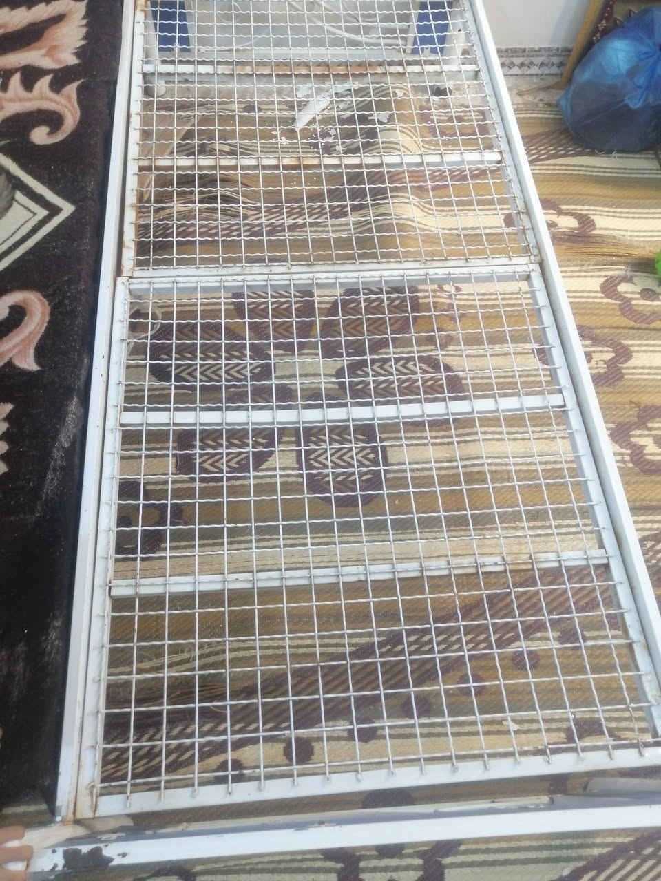 جربايه حديد العدد ٣ السعر ١٥٠ جربايه الخشب ٤٠ وبيهن مجال


**إذا كنت صاحب هذا الإعلان وتريد حذفه لأي سبب، رجاءا أرسل رسالة إلى الدعم الفني**