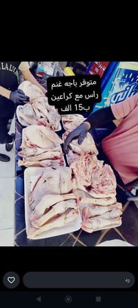 باجة طلي • توصيل • الشطره الف