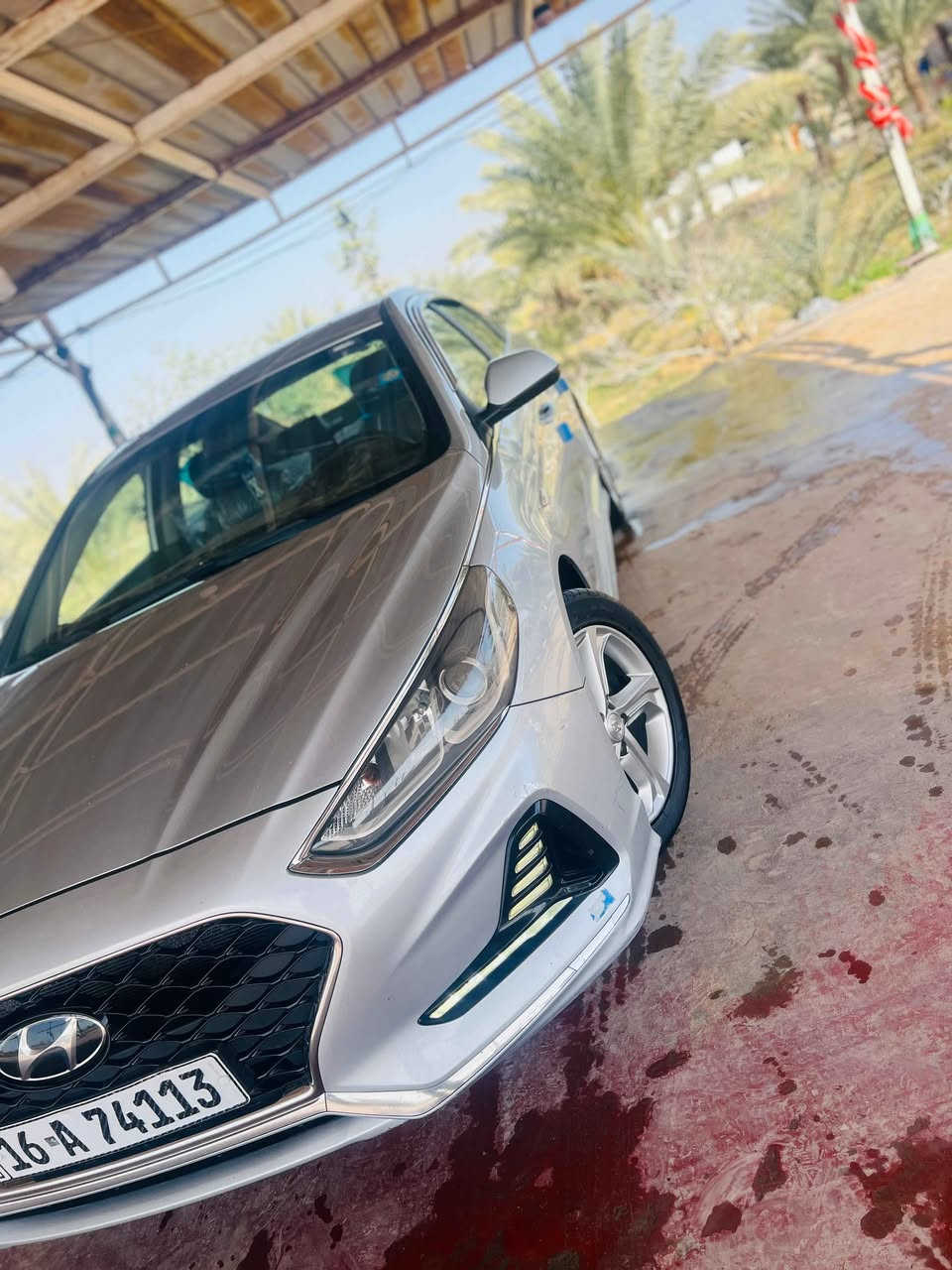 ‎سوناتا ٢٠٢١‎ ديوانية, القادسية


**إذا كنت صاحب هذا الإعلان وتريد حذفه لأي سبب، رجاءا أرسل رسالة إلى الدعم الفني**