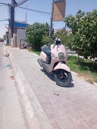 ماكس بوليس • ٥٥ • ٢٠١٠