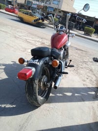 هارلي • ياباني • جديد