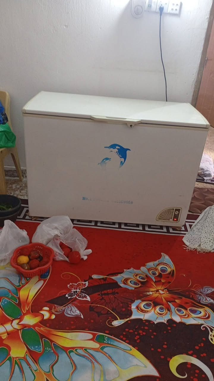 مكنسه كهربائيه كامله سحب وتنشيف نظيفه كلش سعرها 65قفل مجمده تجميد فول مصلحه سعرها 175بي مجال حجمها جبير مكاني سوق الشيوخ


**إذا كنت صاحب هذا الإعلان وتريد حذفه لأي سبب، رجاءا أرسل رسالة إلى الدعم الفني**
