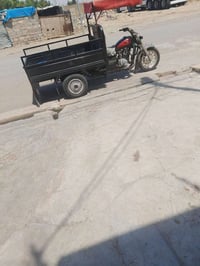 ستوته • اربيل • سنوية