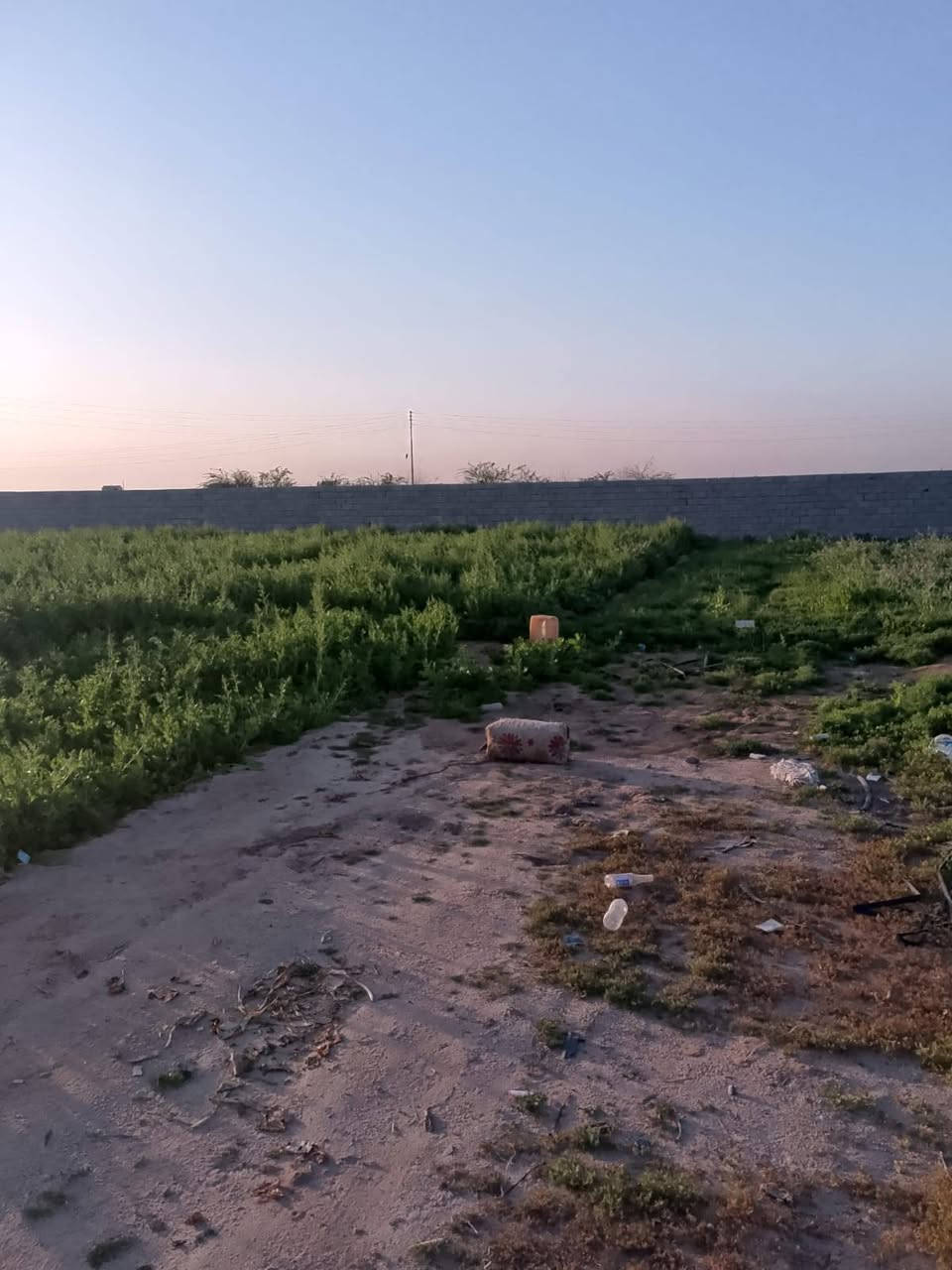 دونم للبيع ع طريق خور سفان يبعد عن الشارع 100متر مسيج بي ارسي ومزروع خضره الكهرباء واصله باب المزرعه السعر 25وبي مجال البصرة, العراق


**إذا كنت صاحب هذا الإعلان وتريد حذفه لأي سبب، رجاءا أرسل رسالة إلى الدعم الفني**