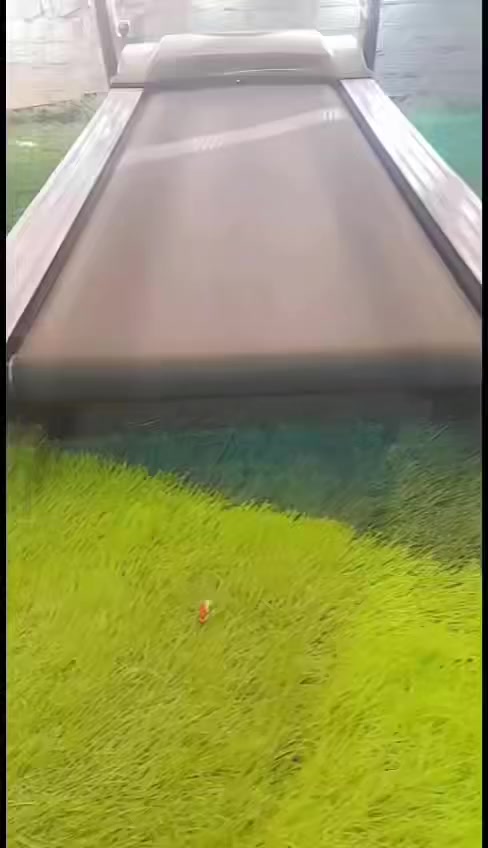 مشايه للبيع وزن مفتوح 01153548691


**إذا كنت صاحب هذا الإعلان وتريد حذفه لأي سبب، رجاءا أرسل رسالة إلى الدعم الفني**