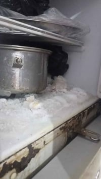 ثلاجه تجميد • فول • النجف