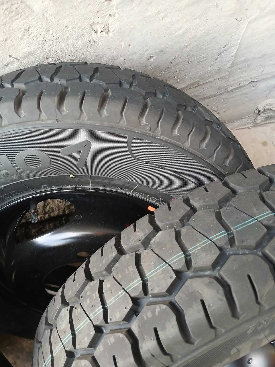 ٢ تخم كيه فحل قياس ١٣ كومهو إنتاج ٢٥جدد بمعنه الكلمه عنوان بابل اتصال وتدلل ***********
