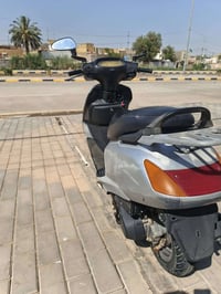 سبيسي • ماليزي • مجفتة