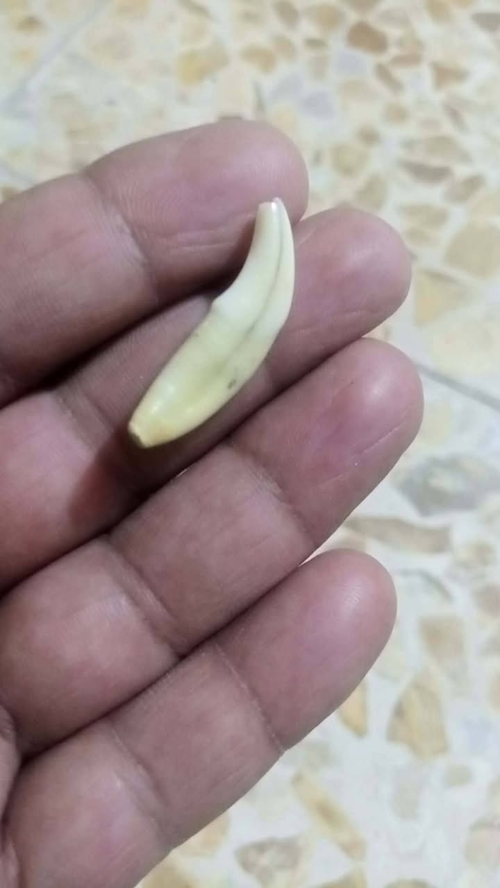 لبيع


**إذا كنت صاحب هذا الإعلان وتريد حذفه لأي سبب، رجاءا أرسل رسالة إلى الدعم الفني**