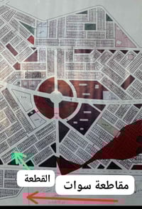 توزيع الحشد • طابو • شارع تجاري ٢٠م