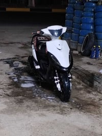 ماكس • بوشة 55 • دوانية شامية