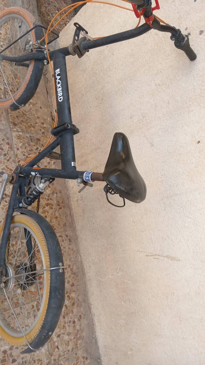 سلام عليكم
بايسكل طباكي للبيع سعر 25


**إذا كنت صاحب هذا الإعلان وتريد حذفه لأي سبب، رجاءا أرسل رسالة إلى الدعم الفني**