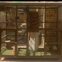 قفص كبير • ٢م٤٠×١م×٢م • مقسم لقسمين