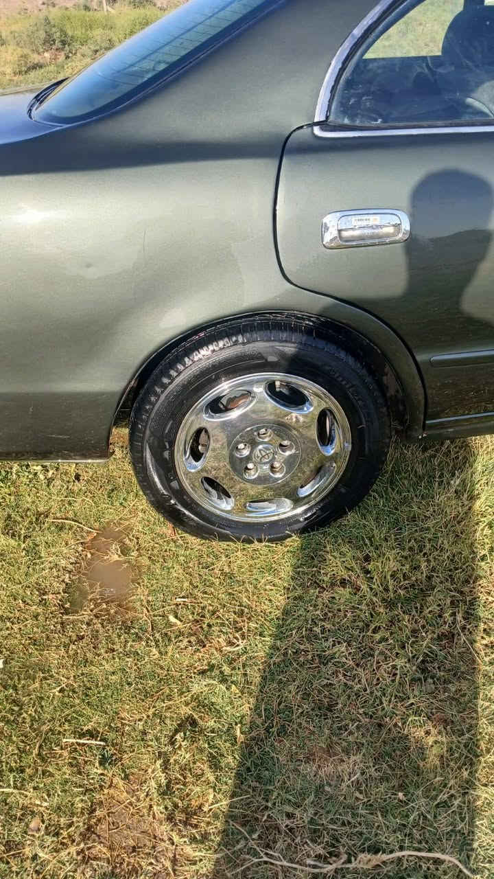 شيزر رقم كربلاء مداور ثاني يوم جاهزه ما عايزه برغي كهربائيات حداديه كير مكينه 
مكفوله اصوليات وعيب شرعي 

مكانها الديوانيه الحمزه الشرقي السعر 47 وبيها مجال 

***********
