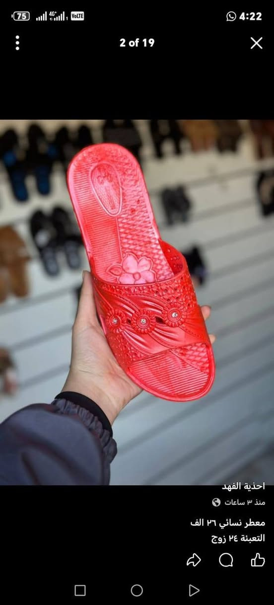 معطر نسائي خشن
القياسات ٣٨-٤٢ 
التعبئة ٢٤ زوج
السعر الكارتون ٢٦ الف
📦 توصيل متوفر لكل المحافظات
📲 للطلب راسلونا خاص والتفاصيل عبر الواتساب 
‏تابع قناة احذية الفهد في واتساب: https://whatsapp.com/channel/0029Vb7Ow4FKmCPOYhV2Kq0j


**إذا كنت صاحب هذا الإعلان وتريد حذفه لأي سبب، رجاءا أرسل رسالة إلى الدعم الفني**