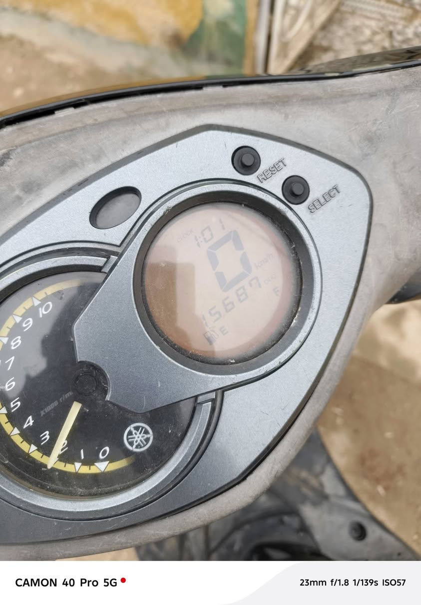 سلام عليكم
سكنس فحل مكفوله كابريتر بلادي كله بلاديه الاستفسار خاص او عل رقم مكاني بغداد البلديات شارع المصرف رقمي سعر600وبيه مجال ***********
