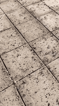 بسم الله الرحمن الرحيم  عملنه صيانه سطوح قلع ماستك قديم بل كامل تنضيف ...