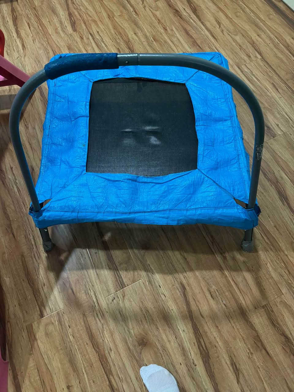 ‎جەمپین و خلیسکینەی منال بۆ فرۆشتن جەمپینەکە ٢٠ خلیسکینەکە ١٥ لە سلیمانی‎ السليمانية, العراق


**إذا كنت صاحب هذا الإعلان وتريد حذفه لأي سبب، رجاءا أرسل رسالة إلى الدعم الفني**