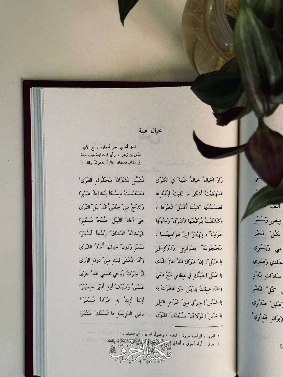 أَبو الفَوارِسِ وفارِسُ عَبْسٍ وشاعِرُها عَنتَرَة بِن شَدّادٍ العَبْسي، وهوَ مِن أَشهَرِ شُعراءِ الجاهِليّة، وصاحِبُ المُعَلَّقَةِ المَشهورَةِ الَّتي قالَ فِي مَطلَعِها:

هَلْ غادَرَ الشُّعراءُ مِنْ مُتَرَدَّمِ
أَمْ هَلْ عَرَفْتَ الدَّارَ بَعْدَ تَوَهُّمِ

📜 دِيوانُ عَنترة

» النّاشِر: دار صادِر، لُبنان- بَيروت

🏷️ السِّعر: ١٢  ألفًا


**إذا كنت صاحب هذا الإعلان وتريد حذفه لأي سبب، رجاءا أرسل رسالة إلى الدعم الفني**