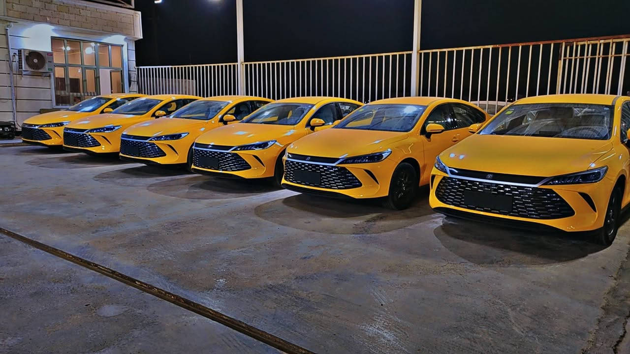 وصول وجبات جديدة  بي واي دي كن بلص اجرة 
Alhamadani group مجموعة شركات فراس الحمداني 

#فرع_بغداد 

#BYD_QINPLUS_TAXI 
#بي_واي_دي_كن_بلص_تكسي 

ملاحظة / لا يتوفر نظام أقساط 

جميع السيارات مرقم بغداد جاهز مع كتاب هيأة النقل الخاص 

العنوان / بغداد طريق اليوسفية قرب مخابز باب الاغا مجاور سيطرة دخول بغداد 

للاستفسار 
--------------
اوس 
*********** 

زيد 
***********
