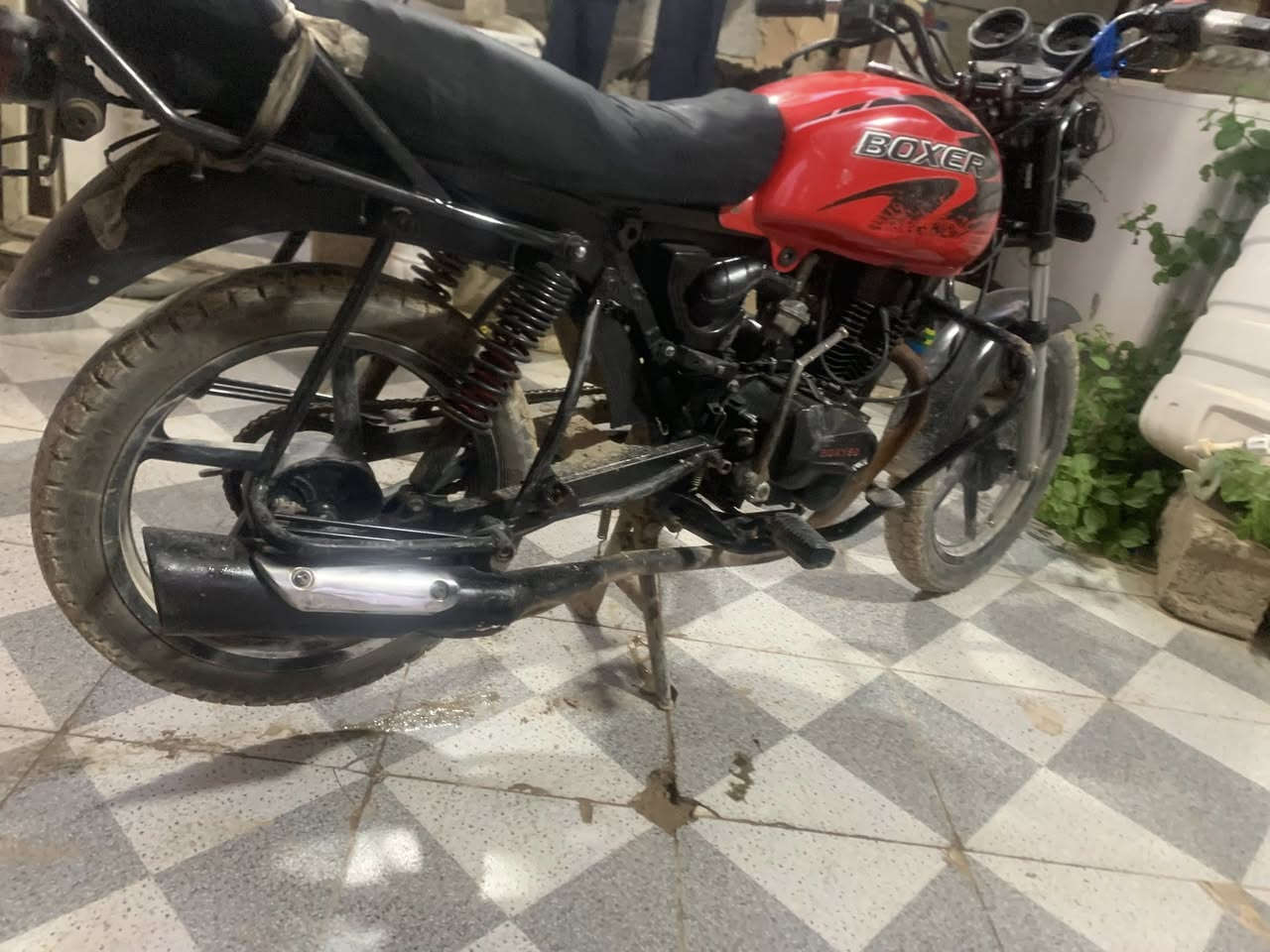‏سلام عليكم شباب دراجة بوكسر صيني مودي 21 بها صوت مال زنجيل كلك بدون وراق 400 و بيه مجال


**إذا كنت صاحب هذا الإعلان وتريد حذفه لأي سبب، رجاءا أرسل رسالة إلى الدعم الفني**