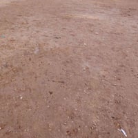 قطعة أرض • ١٠٠م • شارع السيدة زينب