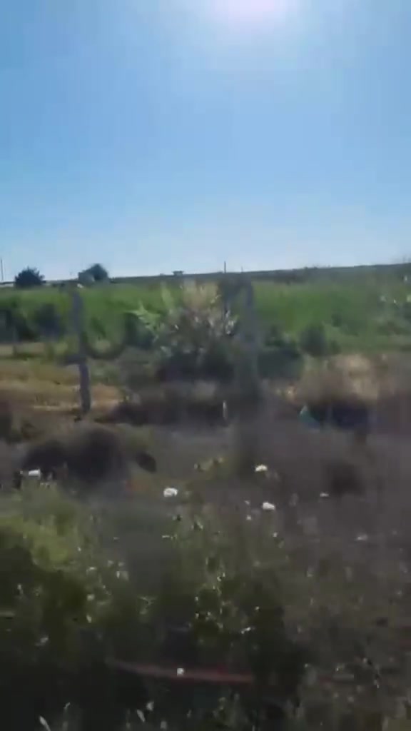 السلام عليكم
اربع دوانم طابو زراعي تحويل مباشر مخدوم ماء وكهرباء وبئر
عنوان الارض قرب الخط السريع
للستفسار اكثر
***********
