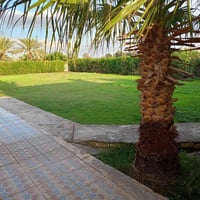 ٢ دونم • طابو سند ٢٥ • واجهة ٤٠م