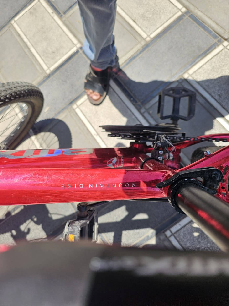 سلام،عليكم BMX Gtr للبيع ماركة Pro جبلي شكو صعدة يصعدها حجم ٢٢ السعر ١٥٠ قفل مكاني بغداد المنصور.


**إذا كنت صاحب هذا الإعلان وتريد حذفه لأي سبب، رجاءا أرسل رسالة إلى الدعم الفني**