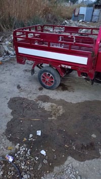 ستوتة المهرة ام الطير • مكفولة • اوراق كاملة