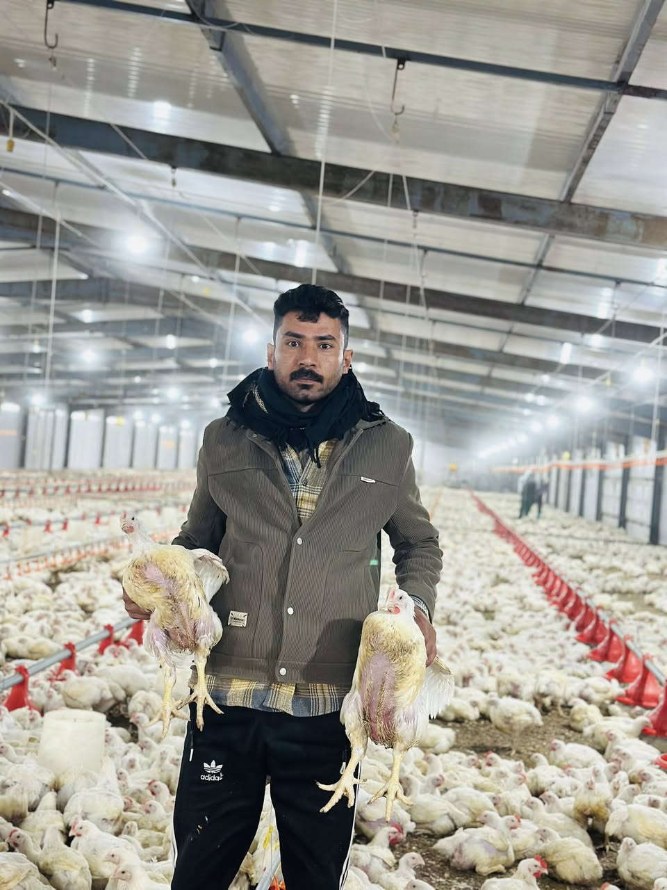 الهم صلي على محمد وآل محمد اخوان الدجاج اليوم سعر الكيلو 2750 الوزن من كيلو ونص لل3كيلو وبسعر مناسب مع التنضيف والفتح والعنوان سنيه بين الجسرين جاي من نزلت الساده ال رحمان بل سايد الي رايح الدوانيه بإدارة قاسم عامر هذا الرقم ***********
