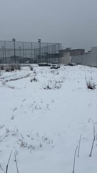 باترول • ٢٠١٣ • اوتوماتيك