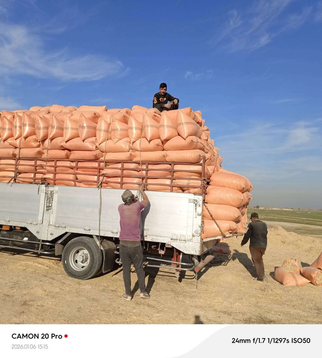 يوجد تبن للبيع درجة الولى الزوج 3500 /***********/***********
