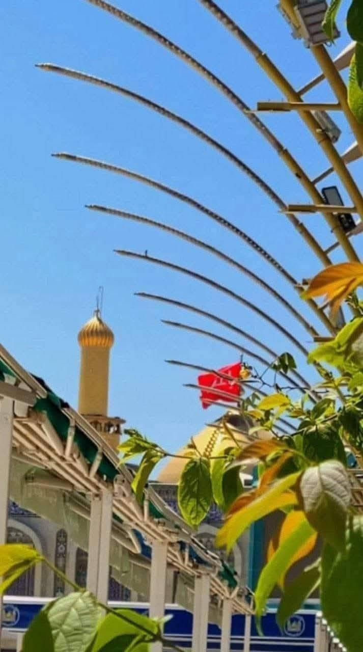 🔴 #اعـــــــــــــــلان_!!!! 👇
‼️الى عوائل الديوانية ‼️👇

▪️اول جمعة من شهر محرم 🏴 

♦️ 2باصات 🚍 🚍 🏴

♦️اخي الزائر اجرتك فقط 5الاف 

تعلن حملة الامام علي 

1️⃣زيارة الى كربلاء المقدسة 🏴 

♦️يـــــــــوم الجمعة ♦️

♀️النفر 5الاف مرجع.. 💸💸👉🪬

الانطلاق  8ليلآ ⏰👇

العودة بعد صلاه الفجر 📢

🙋 نخليك تشبع زيارة وقت خير من الله فقط ب حمله الامام علي 

عوائل فقط 🚸👇🏴

♦️➖♦️➖♦️➖♦️🪬🧿

✨مكان التجمع ✨👇

1️⃣فلكه العلماء 🚸

2️⃣ تقاطع النسر 🚸

3️⃣ الجدارية 🚸 

4️⃣ حي الامين 🚸

5️⃣ السنية 🚸

✅🚦وانت بلبيت سوي تاك للاصدقاء والحبايب واحجز👇

✅🚦عند الغاء الحجز يجب عليك أن تعطينا خبر قبل موعد الرحله 

🌷🌷🌷🌷🌷🌷👇🏴

🔺 رقم الحجز 
*********** واتساب حجز 

بإدارة أبو زهراء
