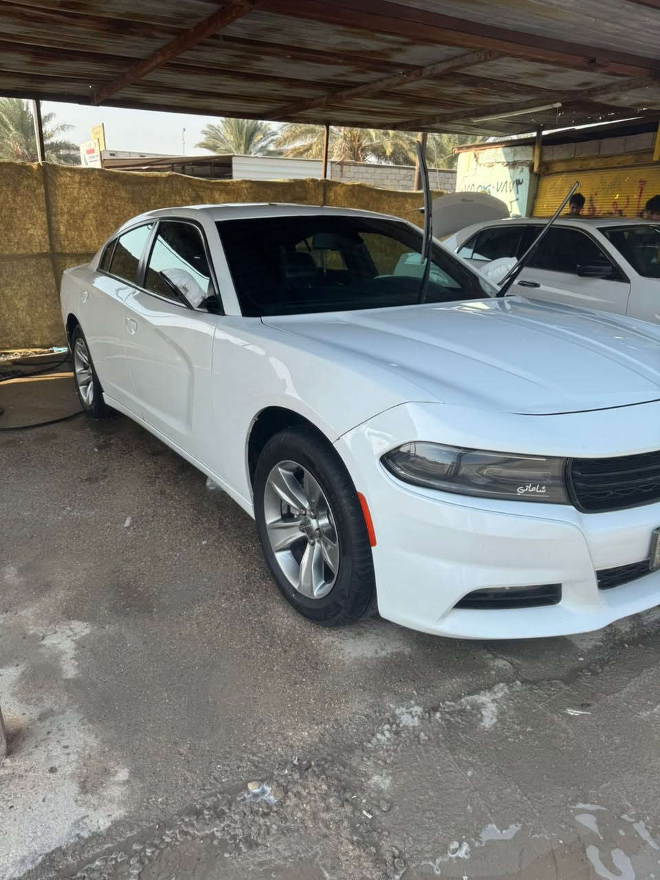 دوج جارجر ٢٠١٧ اصل بسمي رقم اربيل فول GT  كندي سونار موجود سياره مفوله ما ناقصهه برغي ماشيه ١٩٥ الف كيلو  

السعر ٢٢٠ $
ملاحضه تفاصيل اكثر ***********
