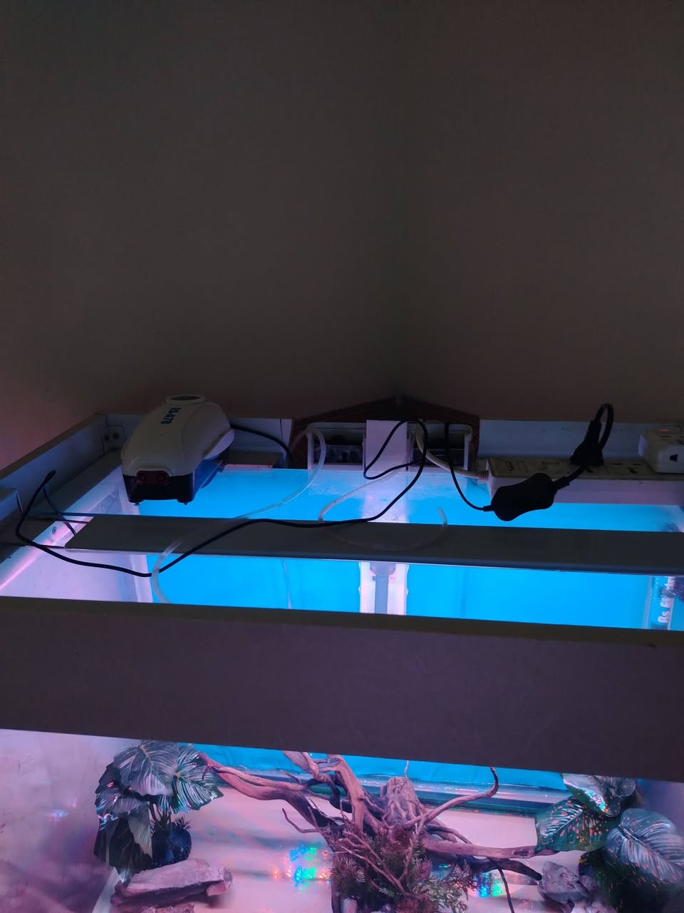 السلام عليكم للبيع حوض كامل مكمل يحتوي علي ماطور تصفية وشلال وشمهة وهيتر وكاونتر HDF  ولباقي كدام  عينكم مكانة بغداد الامين الثانية السعر 225 وبي مجال رقم الهاتف ***********
