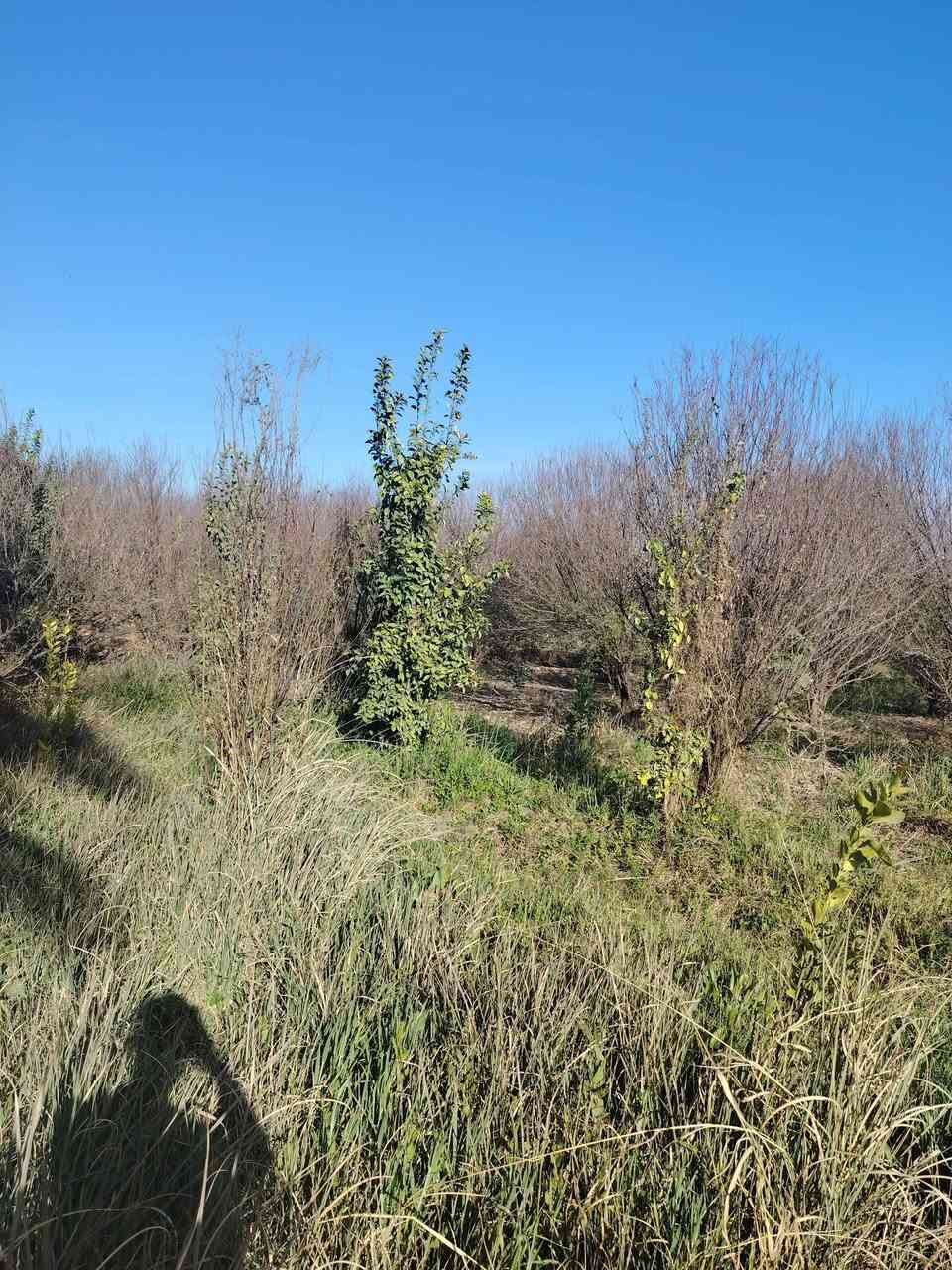 10 دونم بستان طابو زراعي سند 25 كامل الخدمات عالشارع مباشر بغداد الدورة عرب جبور سعر الدونم 160
للاستفسار الاتصال ***********
*********** #عرب_جبور #أراضي_للبيع #سكن_للعقار
