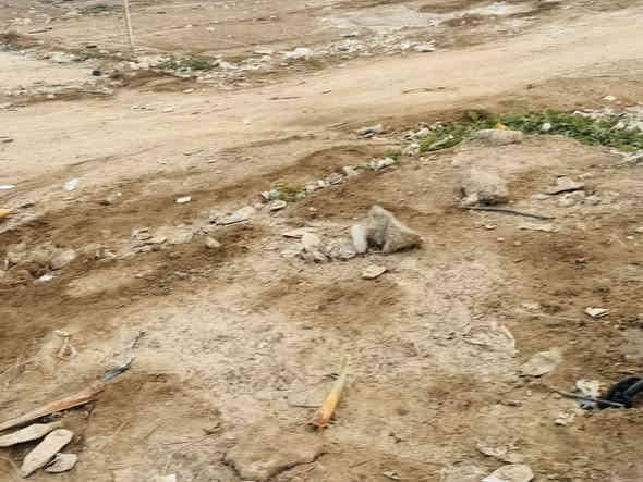 سلام عليكم اخوان قطعه ارض طابو زراعي سند 25 قرار محكمة مساحتها 250 متر ركن علا شارعين الوجه 12ونص ونزالها 20 قريبه علا الشارع الخدمي مال الزوار وعرض الشارع مالتها 50 متر سعرها 26 وبيها مجال للاستفسار ***********
