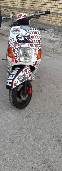 ماكس بوليس • كفالة عامة • ناصرية مركز