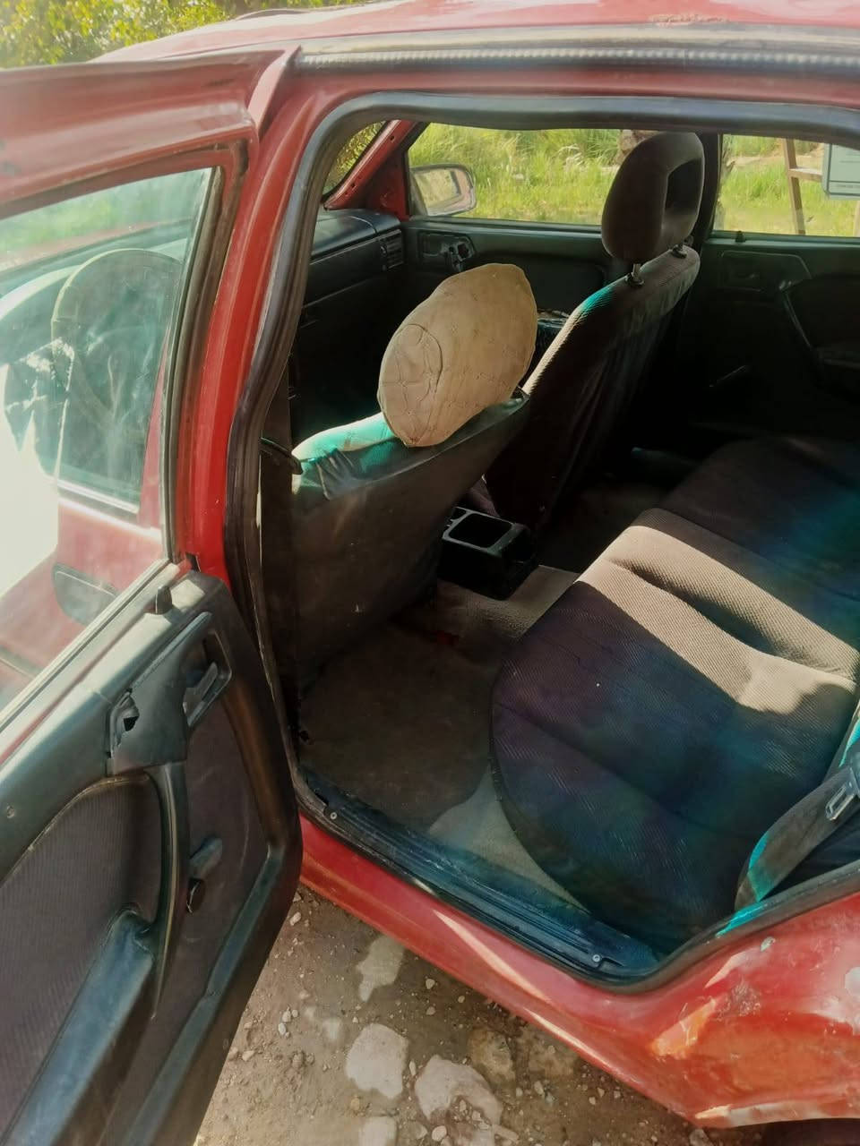 ‎فكترا‎ ديوانية, القادسية
