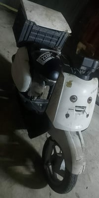 طوطور • شاصي شرط • النبي يونس