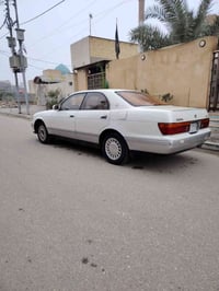 بطة منفصل • كفالة عامة • البصرة قضاء المدينة